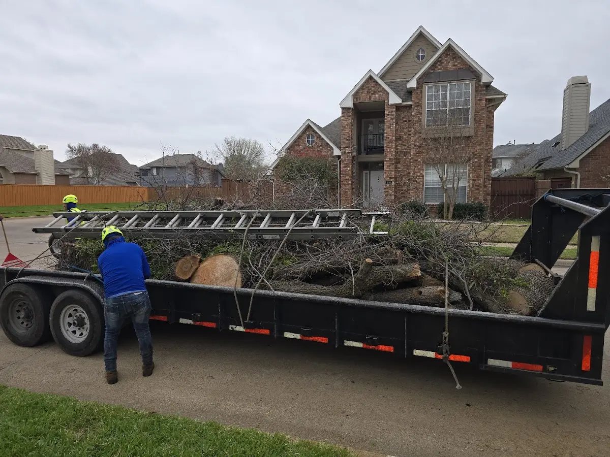 Expert Tree Fertilization with proper safety equipment in Mount Sterling